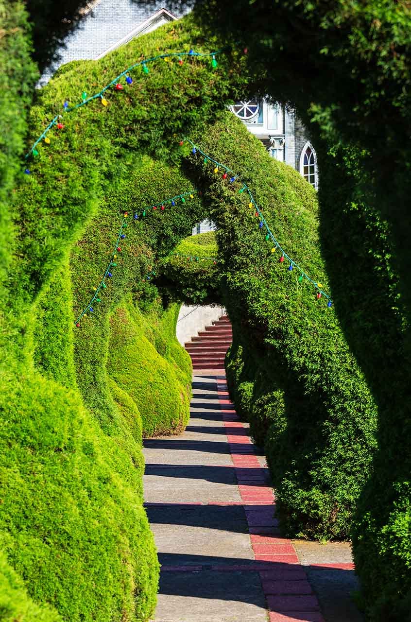 Jardín tropical en Costa Rica con una rica variedad de plantas y flores exóticas, rodeado de vegetación exuberante