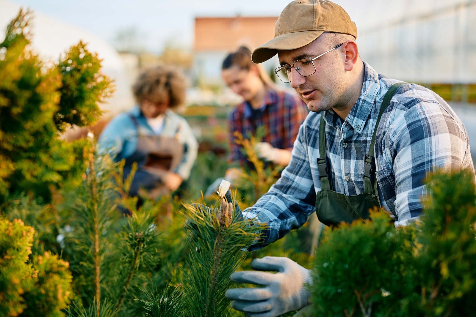 Hombre trabajando en un invernadero, inspeccionando el crecimiento de los árboles y plantas en un entorno controlado